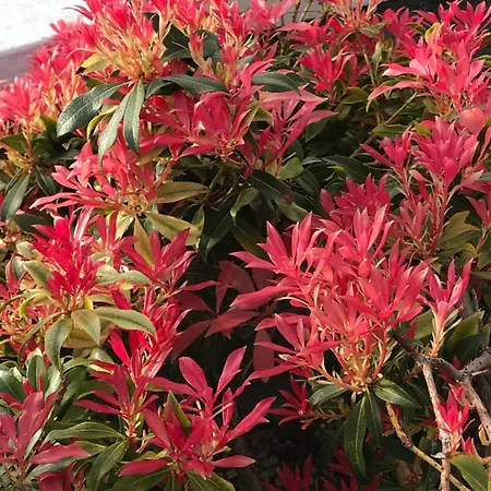 Дом отдыха Beach-stroll