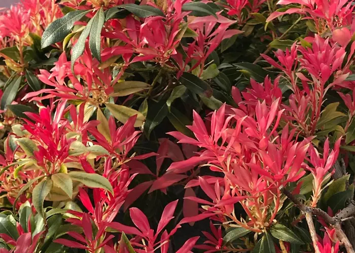 Дом отдыха Beach-stroll